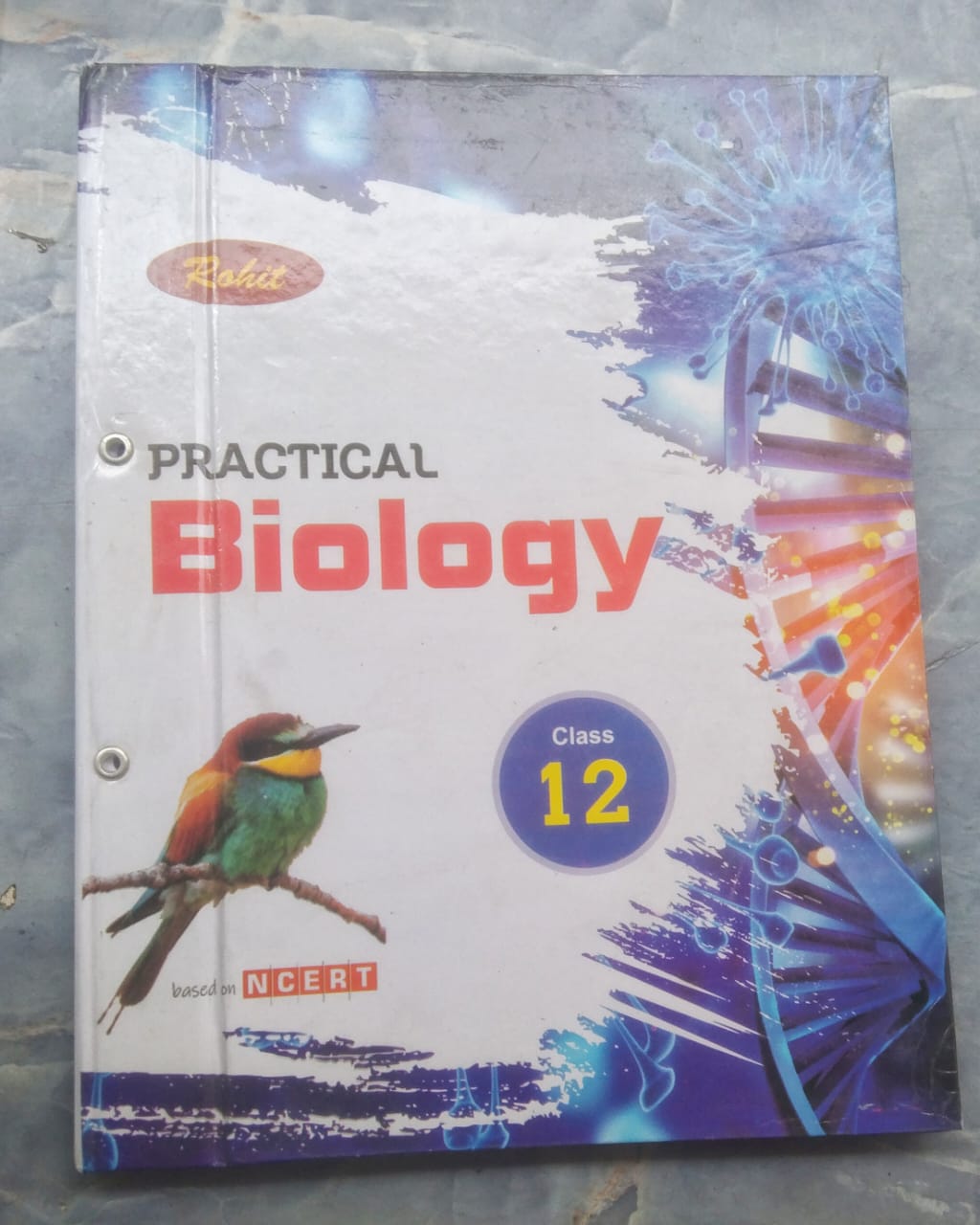  I TO XII SCHOOL ROHIT PRACTICAL BIOLOGY CLASS 12TH