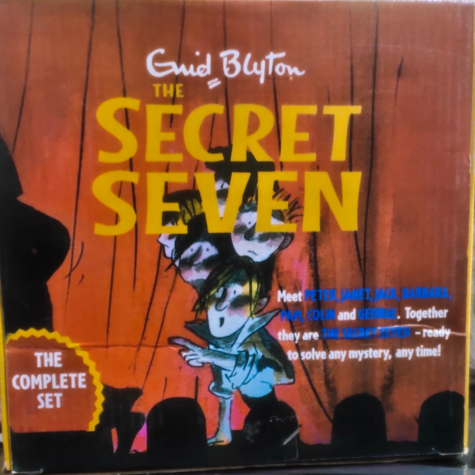 THE SECRET SEVEN (the complete set)